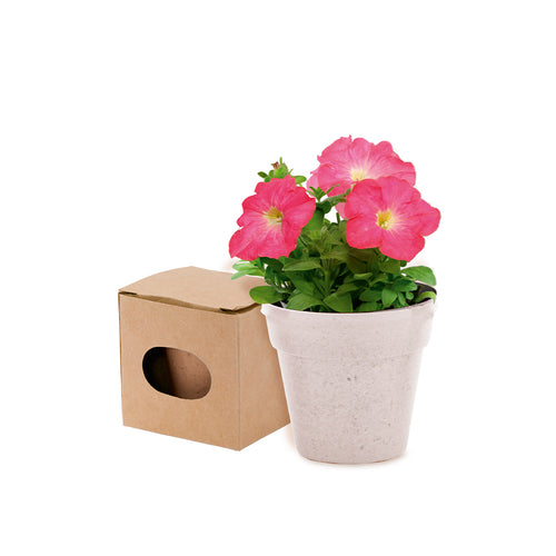 Nature-Line-Topf mit Petuniensamen - Advert Personalisiert